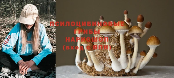 кокаин Заречный