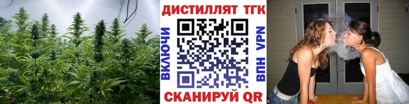 Купить  Волхов  ТГК вейп с тгк 