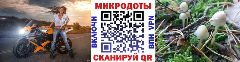 Галлюциногенные грибы прущие грибы  Купить  Волхов 